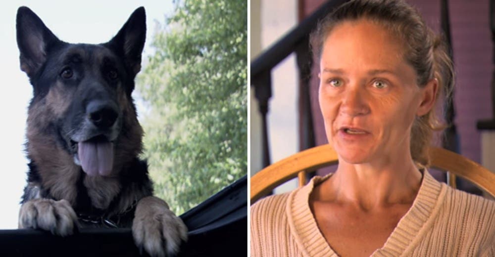 Un perro abandonado se convirtió en su héroe tras sufrir un terrible accidente de tráfico