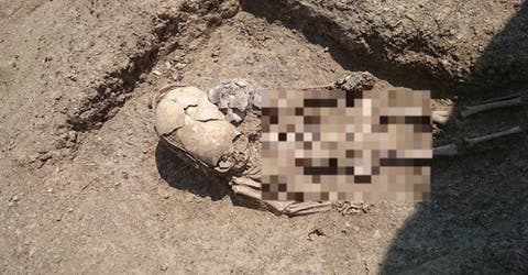 El escalofriante hallazgo del esqueleto de un niño con extrañas condiciones