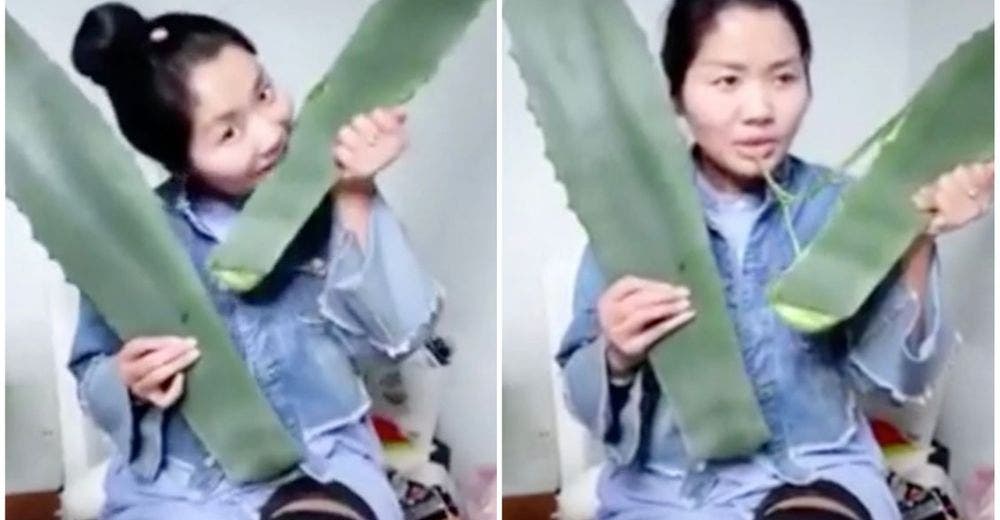 El error de esta joven mientras se grababa comiendo «aloe vera» casi le cuesta la vida