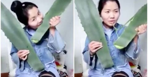 El error de esta joven mientras se grababa comiendo «aloe vera» casi le cuesta la vida