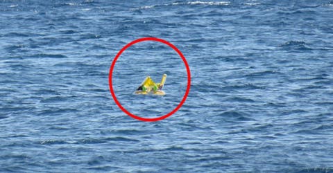 Una bebé de 10 meses de edad termina a la deriva en el mar por el descuido de sus padres