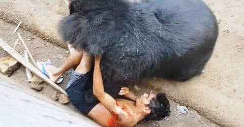 Un osado turista se atrevió a molestar a un oso salvaje y casi le cuesta la vida – Estremecedor