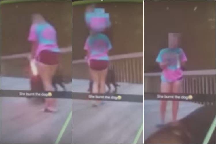 adolescentes chicas incendian fuego encendedor aerosol perro indefenso video snapchat