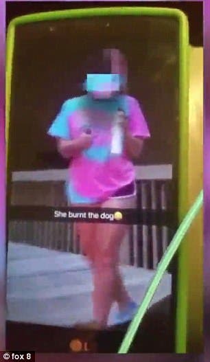 adolescentes chicas incendian fuego encendedor aerosol perro indefenso video snapchat