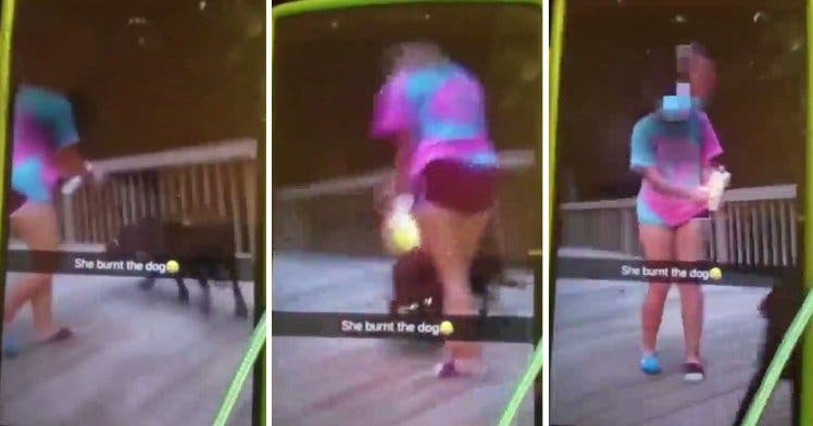 adolescentes chicas incendian fuego encendedor aerosol perro indefenso video snapchat