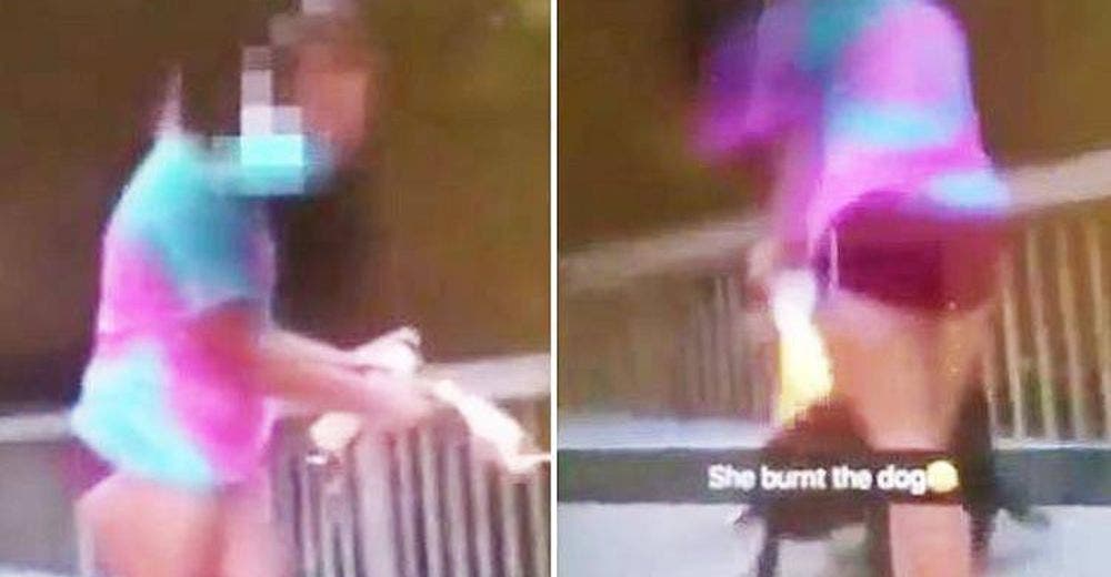 El perturbador momento en el que una adolescente intenta prender fuego a su perro El perturbador momento en el que una adolescente intenta prender fuego a su perro
