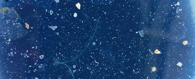 nueva isla basura plastico oceano pacifico sur microplastico agua espeso alteraciones adn corrientes marinas mutaciones desperdicio contaminación Algalita Marine Research Foundation Charles Moore cientificos conciencia ecologica