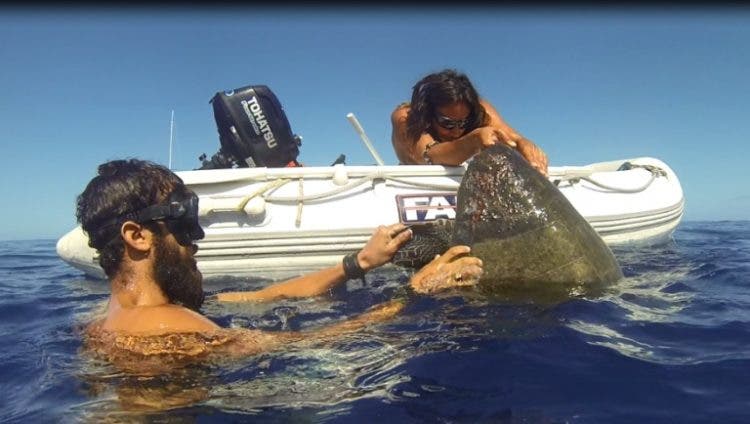 nueva isla basura plastico oceano pacifico sur microplastico agua espeso alteraciones adn corrientes marinas mutaciones desperdicio contaminación Algalita Marine Research Foundation Charles Moore cientificos conciencia ecologica