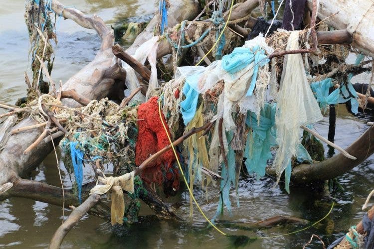 nueva isla basura plastico oceano pacifico sur microplastico agua espeso alteraciones adn corrientes marinas mutaciones desperdicio contaminación Algalita Marine Research Foundation Charles Moore cientificos conciencia ecologica