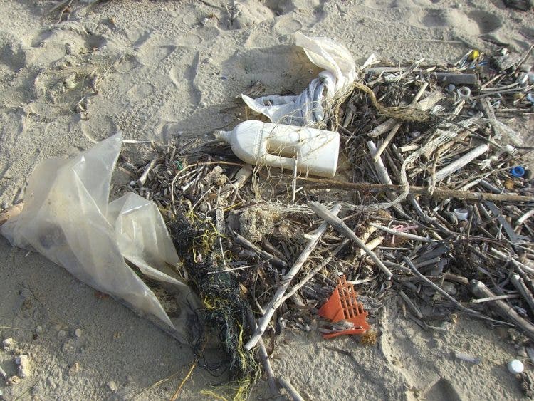 nueva isla basura plastico oceano pacifico sur microplastico agua espeso alteraciones adn corrientes marinas mutaciones desperdicio contaminación Algalita Marine Research Foundation Charles Moore cientificos conciencia ecologica