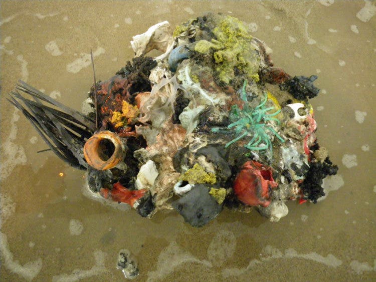 nueva isla basura plastico oceano pacifico sur microplastico agua espeso alteraciones adn corrientes marinas mutaciones desperdicio contaminación Algalita Marine Research Foundation Charles Moore cientificos conciencia ecologica