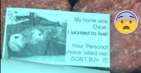“Mi nombre era Chloe, quería vivir” el mensaje que encontró un cliente en sus hamburguesas