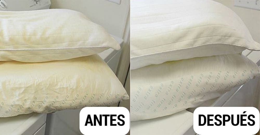 Aprende cómo mantener tus almohadas impecables y libres de ácaros