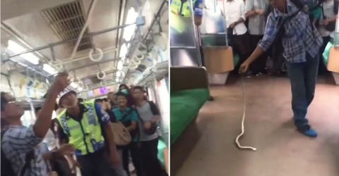 La impactante reacción de un pasajero del metro al toparse con una gran y peligrosa serpiente
