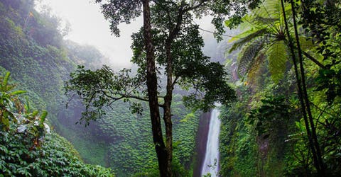 En medio de la jungla peruana hicieron un extraordinario hallazgo que ha dejado a todos atónitos