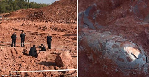 Los arqueólogos realizan un estremecedor hallazgo en «el hogar de los dragones» en China