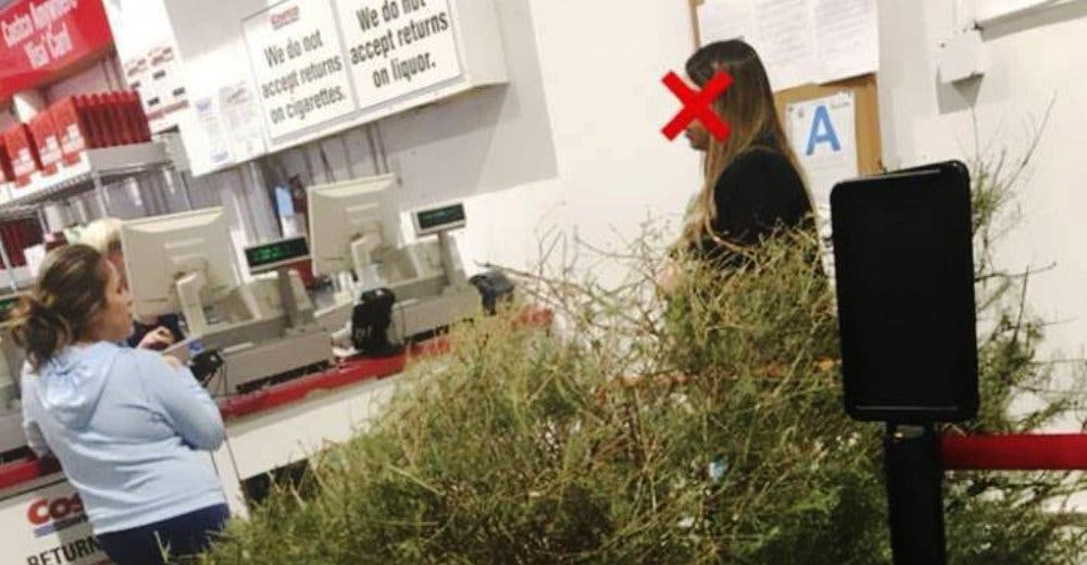 Una mujer devuelve el árbol de Navidad marchito y solicita el reembolso del dinero
