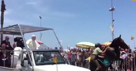 El Papa Francisco auxilió a una policía que cayó de un caballo, tras chocar contra el papamóvil