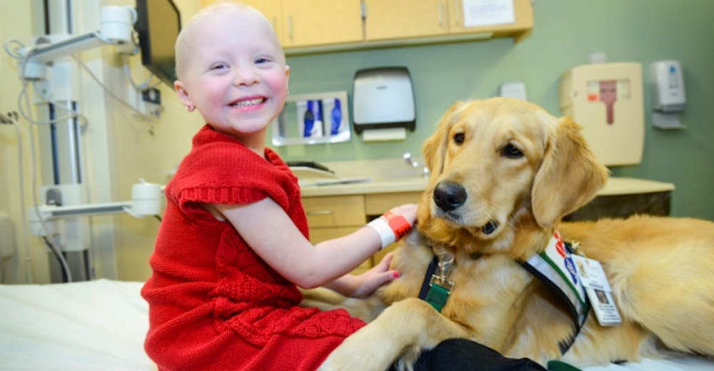 Un milagroso tratamiento le devuelve la esperanza a una niña de 8 años diagnosticada con cáncer Un milagroso tratamiento le devuelve la esperanza a una niña de 8 años diagnosticada con cáncer