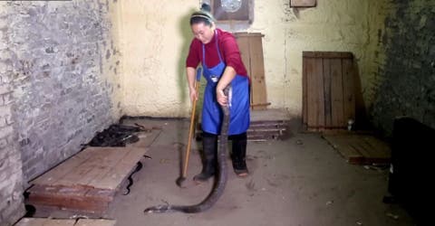 esta mujer china vive con mil 1000 cobras serpientes China Cobra Queen, Hu Xiaoxia, Chongqing medicina tradicional vino piel