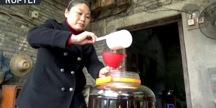 esta mujer china vive con mil 1000 cobras serpientes China Cobra Queen, Hu Xiaoxia, Chongqing medicina tradicional vino piel 