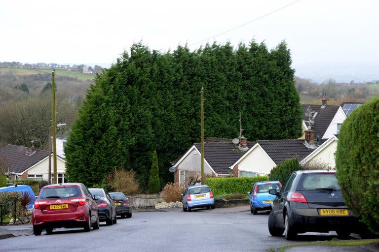 vecina deja a sus vecinos en la oscuridad al crecer sus arbustos tan altos que bloquea toda la luz y la vista la obligan a cortar y se rehusa Susan Rogers Yr Aran en la región de cal sur de Gales south wales 