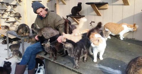 Convierte su casa en el refugio de 300 gatos para superar una trágica e irreparable pérdida