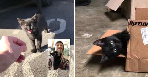 Un hombre captura el tierno momento en que un gatito callejero lo adopta como su padre humano