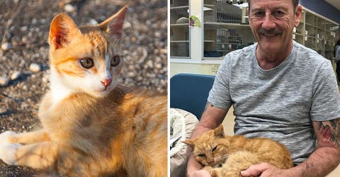 Este hombre se reúne con su adorado gato desaparecido 14 años atrás – Increíble
