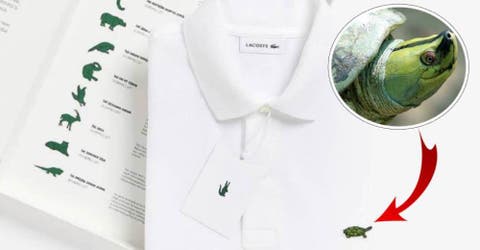 Lacoste cambia su emblemática cocodrilo por una buena causa y se agotan las prendas