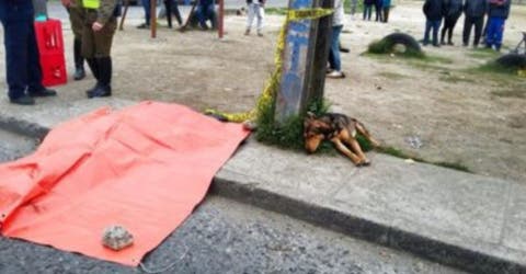 CONMOVEDOR – Este leal perrito se niega a dejar a su amo incluso después de haber fallecido