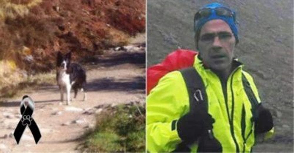 Tiene que elegir entre vivir o morir con su perro y decide abandonarlo en la montaña helada Tiene que elegir entre vivir o morir con su perro y decide abandonarlo en la montaña helada