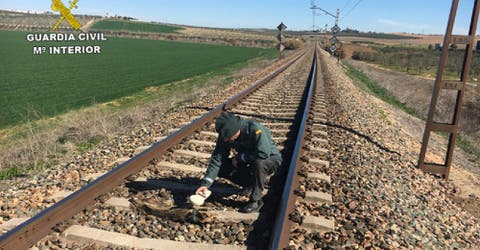 Identifican al supuesto autor que ató cruelmente a animales en las vías del tren en Sevilla