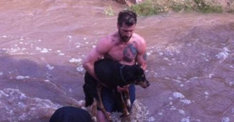 Un joven hizo un heroico rescate en las heladas y peligrosas aguas de un río: Salvó una perrita