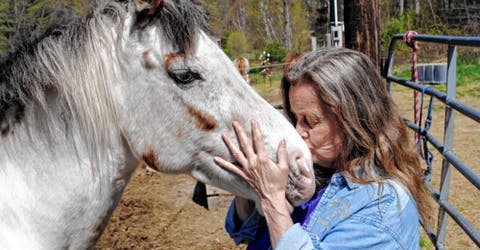 Esta mujer luchó más de 10 años para salvar la vida del caballo de sus sueños