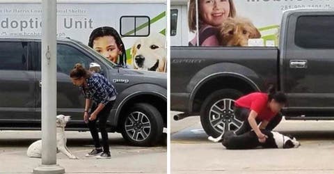 «Se reían, no les importaba» – Abandonan a sus perros sin saber que las veían