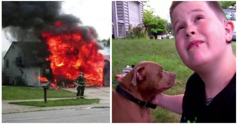 Héroe de 4 patas: Un pitbull le salva la vida a un niño sordo durante un incendio