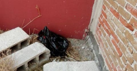 Hallan a un bebé abandonado que aún tenía el cordón umbilical dentro de una bolsa de basura