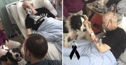 Un anciano enfermo terminal se despide de su amado perro en el hospital antes de morir