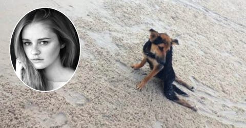 Una modelo halla un perrito paralizado en la playa y lo que hace por él conmueve al mundo