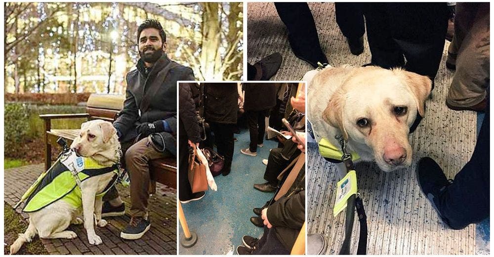 Un hombre ciego rompe a llorar después de que nadie le cediera el asiento junto a su perro guía Un hombre ciego rompe a llorar después de que nadie le cediera el asiento junto a su perro guía