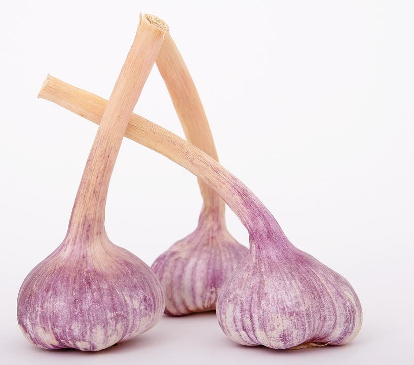 el ajo puede prevenir el cancer y las enfermedades cardiacas segun nuevos descubrimientos garlic superfood prevention disease health