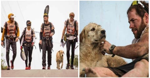Arthur, el perro callejero que le cambió la vida tras correr 400 km junto a cuatro deportistas