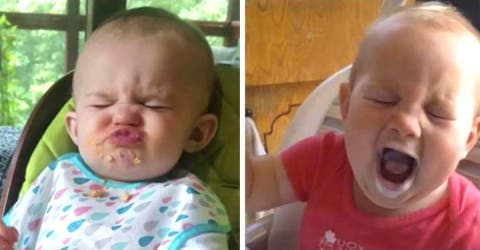 Las reacciones de estos bebés probando alimentos por primera vez se hacen virales