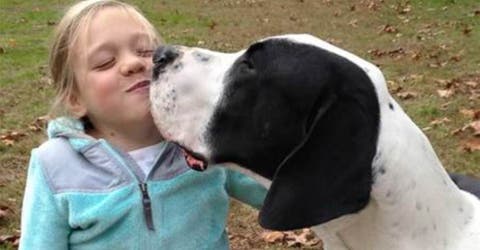 Pierde la movilidad y la esperanza hasta que un perro aparece para consolar su corazón