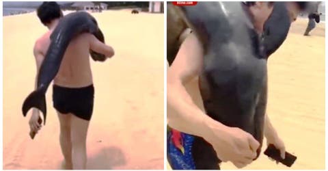 Arden las redes con la insólita reacción de un hombre que rescató a un delfín varado en la playa