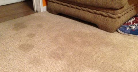 El truco para dejar las alfombras impecables con menos de 2 euros está causando furor