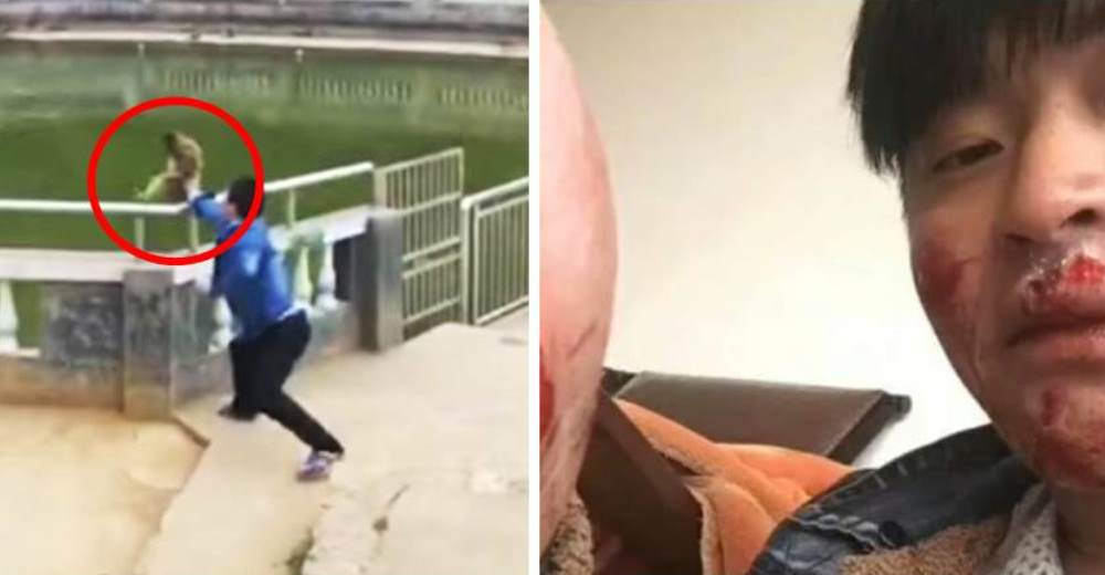 Así se vengó este macaco después de que un turista lo empujara a un estanque Así se vengó este macaco después de que un turista lo empujara a un estanque