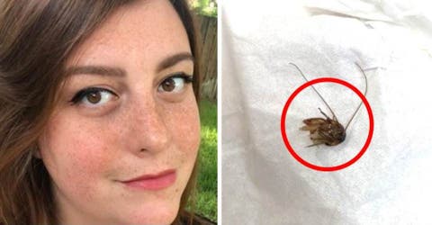 El horror que vivió la mujer que permaneció 9 días con una cucaracha dentro de su oído