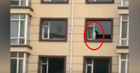 El aterrador de vídeo de un niño paseando por el alféizar de la ventana en un quinto piso